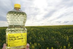A bottle of No Name canola oil is held up and photographed against a canola crop in the background.