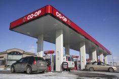 Photo of the gas pumps at a Co-Op gas bar on a sunny winter day.