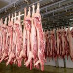 Photo: hrabar/iStock/Getty Images
