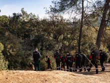 The UME (Military Emergency Unit) conducts patrols through the forest to search for wild boars and contain the outbreak of African swine fever, which has already accumulated 9 positive cases in wild boars, in Cerdanyola del Valles, Spain, on December 3, 2025.
