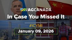 In case you missed it thumbnail