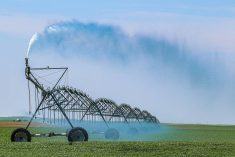 A line of pivot irrigation at work watering a crop on a sunny summer day.