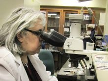 Myriam Fernandez, an Ag Canada scientist in Swift Current, looks through a microscope in her lab.