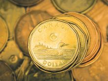 Looking down from above on a loose stack of loonies sitting on top of more loonies that appear to be spread out on a flat surface.