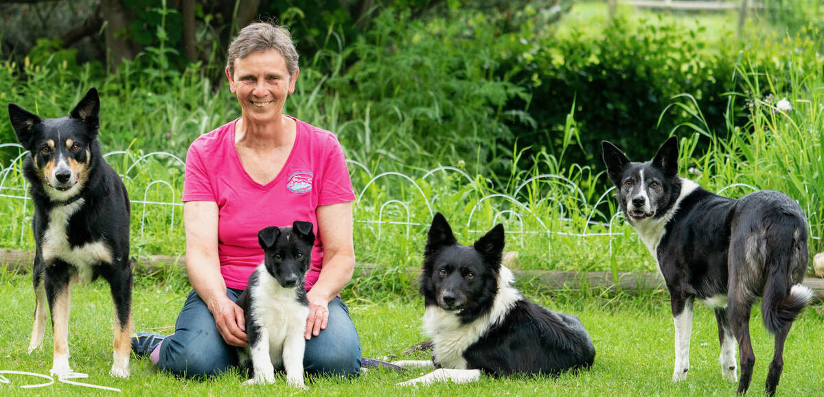 A woman in jeans and hot pink top sits on the grass and poses with four border collies.