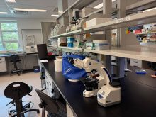 A microscope sits on a desk in a lab in the Global Institute for Food Security (GIFS) in Saskatoon.