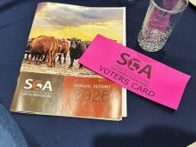 Saskatchewan Cattle Association's Annual Report and voter card for AGM 2026.