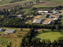 An aerial view of Agriculture Canada's Lacombe research centre.