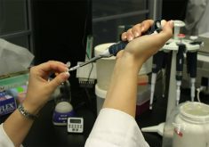 A researcher uses a pipette in a lab.