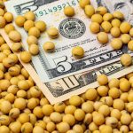 China resumed U.S. soybean purchases after the two countries’ leaders met in late October, with the White House saying China had also agreed to buy at least 25 million metric tons annually over the next three years, starting in 2026. Photo: Getty Images Plus
