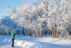 Frosty trees at Echo Valley Provincial Park, Saskatchewan.