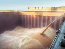 Wheat pours into the hold of a bulk carrier ship at a port.