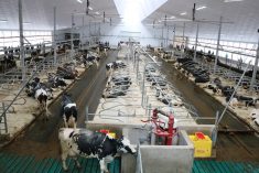 An overlook view of a dairy barn in Ontario.