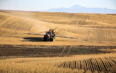 A high clearance sprayer is applying product on a patchy field in the fall.