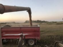 Standing on a combine watching its auger send crop into the back of a tandem grain truck at harvest time.