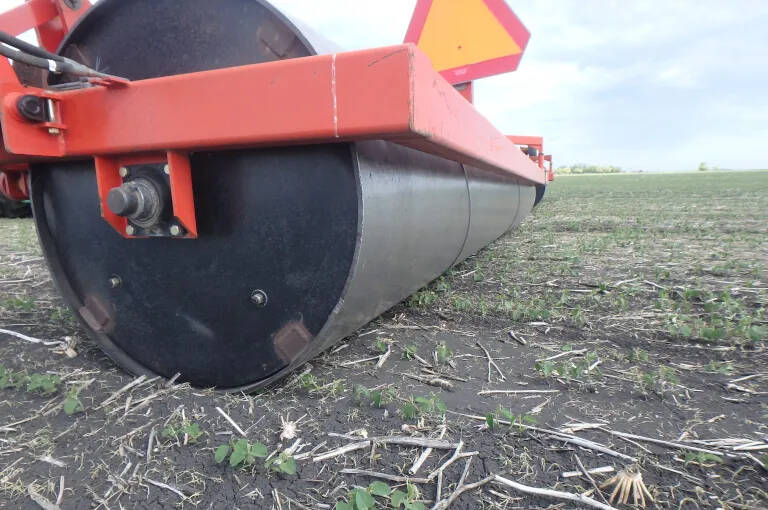 A land roller passes over very young soybeans early in the growing season. New research suggests a short post-emergence window where rolling can be done with less risk. Photo: MPSG