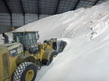 A wheel loader digs into a massive pile of urea fertilizer in a storage facility.