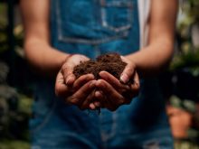 hands holding organic compost. Hiraman/E+/Getty Images