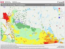 This map shows the total amount of precipitation that has fallen across the Prairies so far this winter (Nov. 1 to Feb. 15) compared to average. Manitoba and far northwestern Alberta have been the driest, with north-central Alberta and Saskatchewan seeing near to above average amounts. 