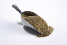 For now, canola meal from Canadian crushing plants is mostly sold to America's dairy industry and exported to China | Canola Council of Canada image