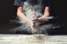 If a U.S. citizens' petition is successful, it could result in refined flour being pulled off the market in the United States, at least for commercial purposes.