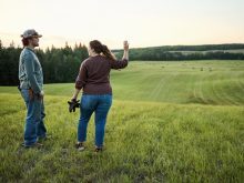 If a spouse or child is added to title for estate planning purposes, this is joint tenancy with right of survivorship.