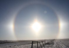 Sundogs form a perfect ring around the sun over a barbed wire fence line on a cold winter day.