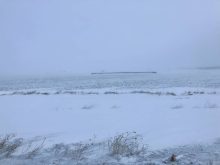 Blowing snow near Marquette, Manitoba, on January 22, 2026.