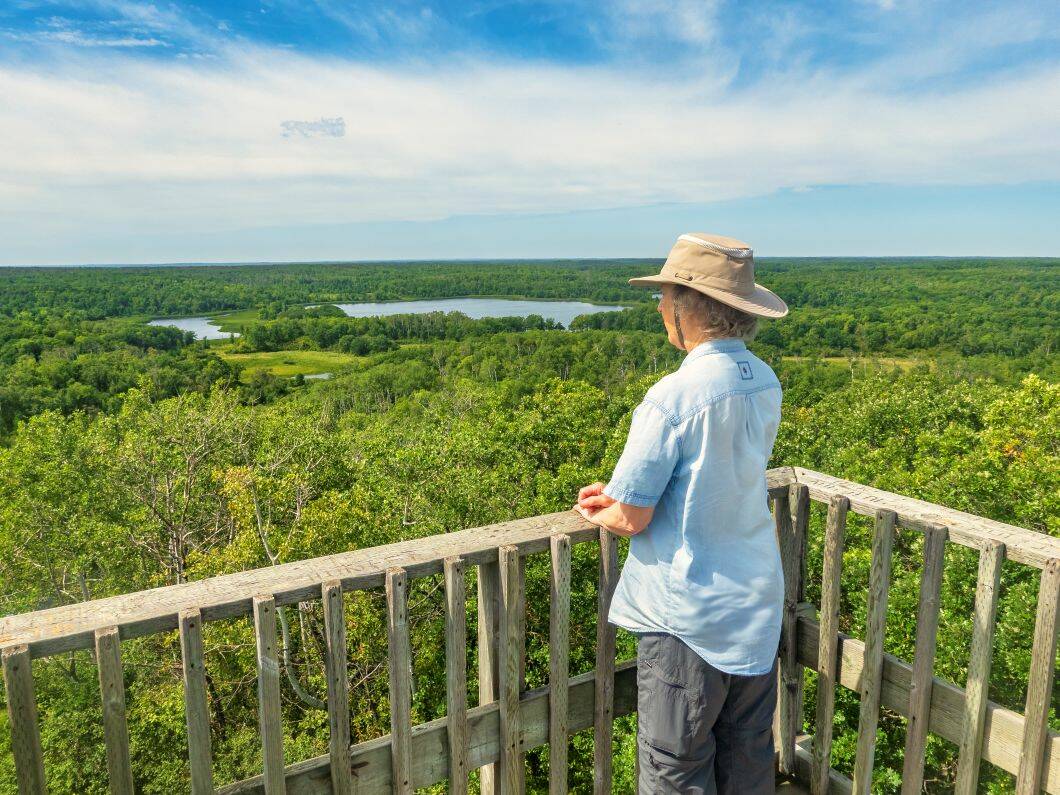 Turtle's Back hiking trail lookout