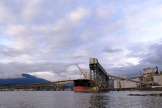 Viterra grain handling operations are seen at the Cascadia Terminal in the Port of Vancouver, during the COVID19 pandemic, on April 22, 2020, in Vancouver, B.C., Canada.