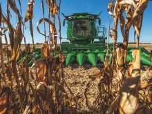 The corn header on a new John Deere combine is seen through a few cornstalks as the combine approaches.