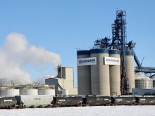 Richardson's canola crushing plant near Yorkton, Saskatchewan.