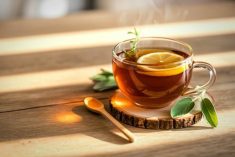 Steam rises from a clear cup filled with reddish tea with a slice of lemon floating on top next to a sprig of mint, on a wooden coaster with an additional sprig of mint on the side.