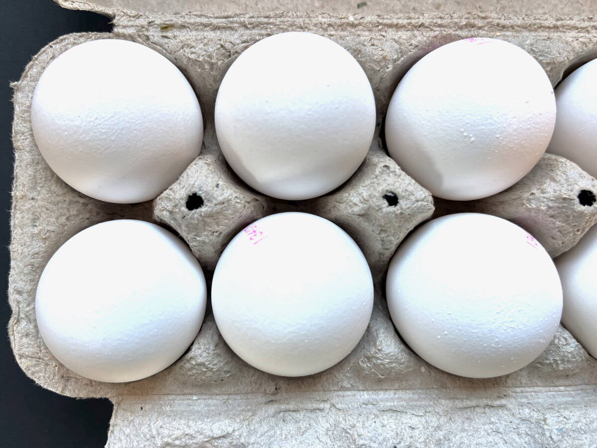 Egg production expanded by 7.6 per cent last year to 937 million dozen. Photo: Alexis Stockford
