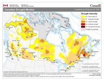Canadian Drought Monitor map.
