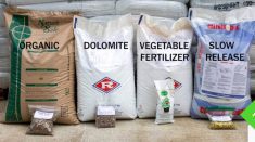 Four bags of different types of fertilizer, each with black text representing its type superimposed overtop the image, sit in a row.