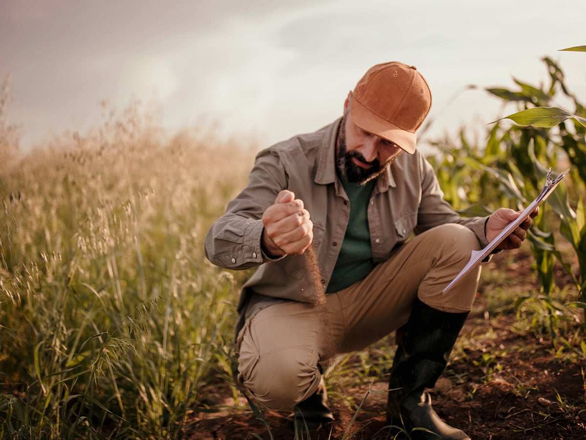 Even as AI tools generate more recommendations, farmers still rely on local agronomy to make decisions that fit their fields. Photo: Getty ImagesAs technology takes on more of the work of interpreting data, where does that leave farm agronomists? Photo: Getty Images