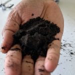 Close-up of a hand holding some black soil.