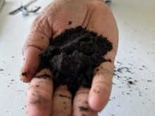 Close-up of a hand holding some black soil.