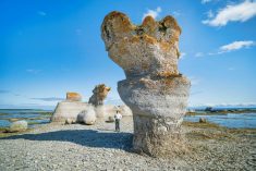 Monoliths at Minigan Archipelago National Park Reserve, Quebec