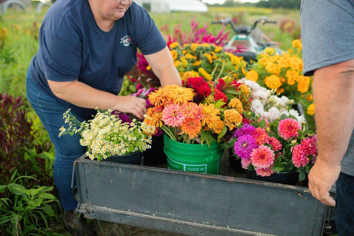 Ontario flower farm keeps growing even among uncertainty | The Western ...