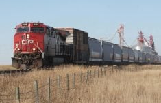 A CP grain train moves past an inland terminal on a sunny day.
