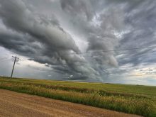 Menacing rain/storm clouds form over a field in rural Alberta.