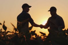 Two male farmers standing in a corn field silhouetted against a setting sun.