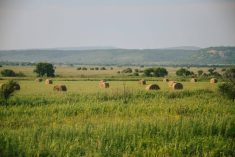 A green hay field with round bales and mountains in the distance.