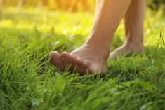 A close up of the bare feet of someone walking on green grass.