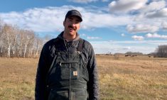 A man with a mustache and a ball cap and wearing black Carhart coveralls stands in a pasture with some black cattle grazing in the distance behind him.