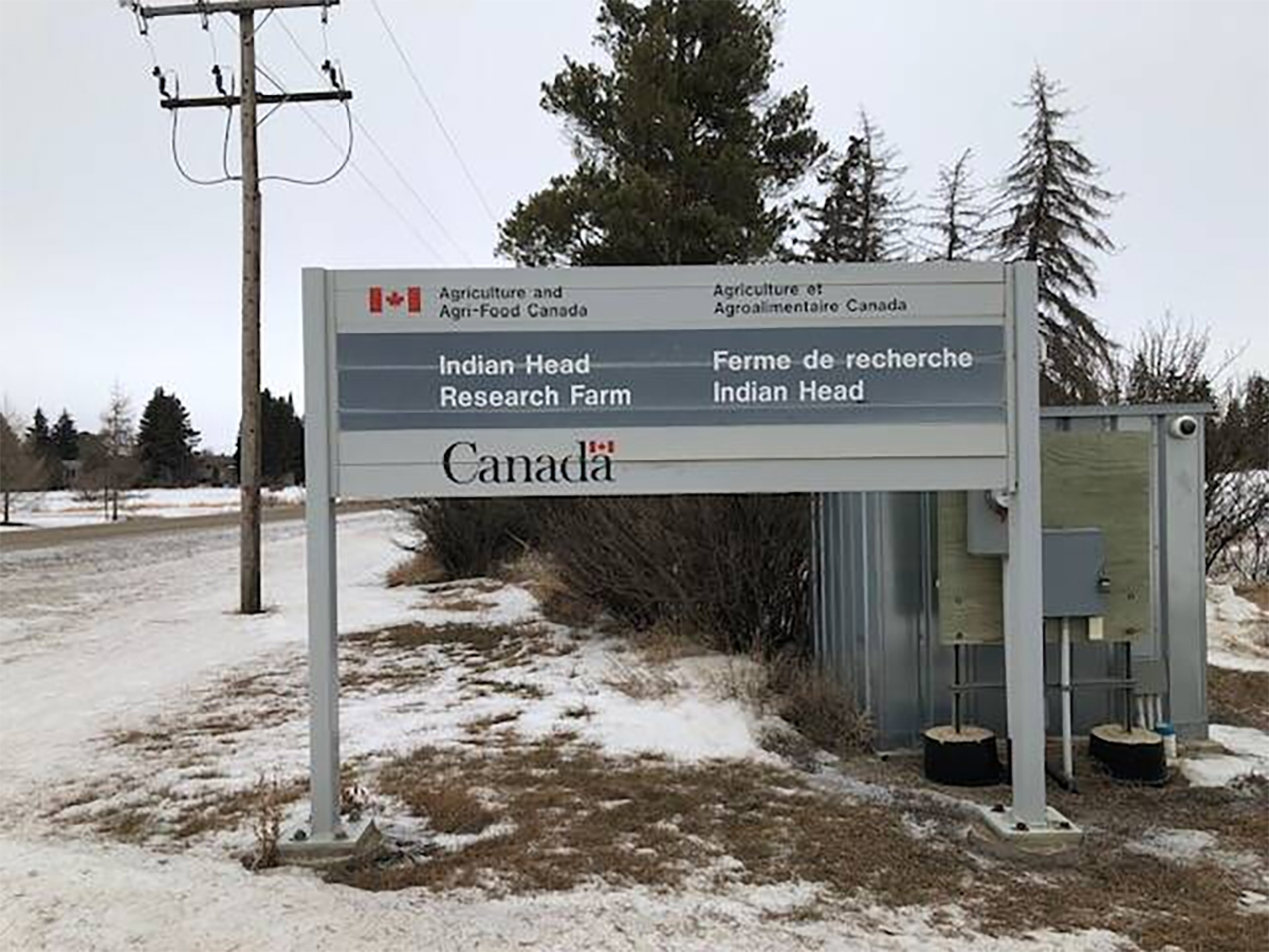 The sign at the entrance to the Indian Head Research Farm.