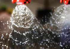 A close-up of liquid coming out in a fan-shaped pattern from a red sprayer nozzle.